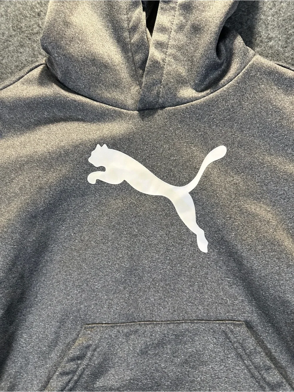 Puma Kids Gray Hoodie with White Puma Logo